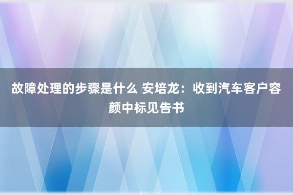 故障处理的步骤是什么 安培龙：收到汽车客户容颜中标见告书