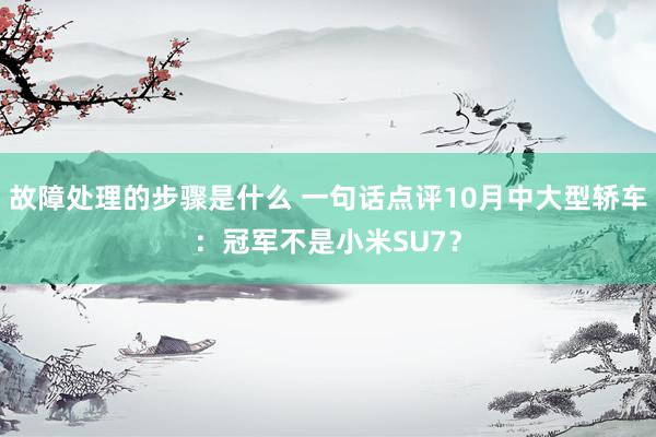 故障处理的步骤是什么 一句话点评10月中大型轿车：冠军不是小米SU7？