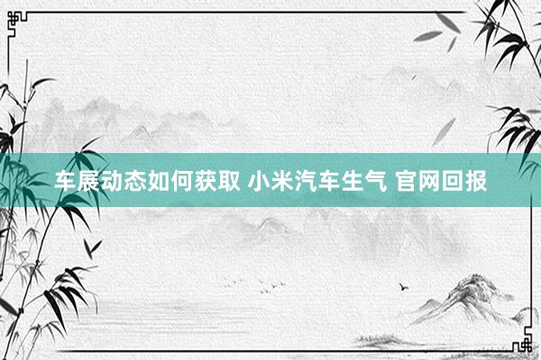 车展动态如何获取 小米汽车生气 官网回报