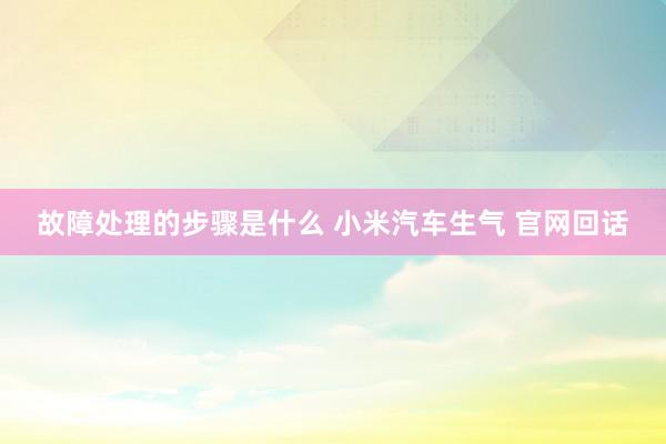 故障处理的步骤是什么 小米汽车生气 官网回话