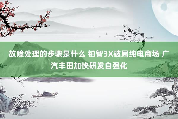 故障处理的步骤是什么 铂智3X破局纯电商场 广汽丰田加快研发自强化