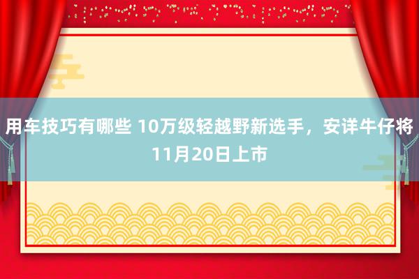 用车技巧有哪些 10万级轻越野新选手，安详牛仔将11月20日上市