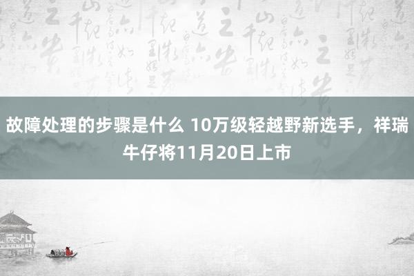 故障处理的步骤是什么 10万级轻越野新选手，祥瑞牛仔将11月20日上市