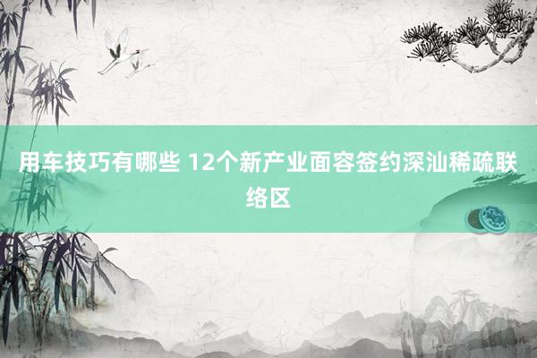 用车技巧有哪些 12个新产业面容签约深汕稀疏联络区