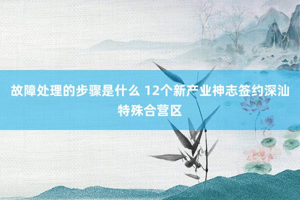 故障处理的步骤是什么 12个新产业神志签约深汕特殊合营区