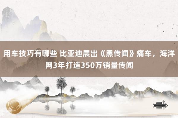 用车技巧有哪些 比亚迪展出《黑传闻》痛车，海洋网3年打造350万销量传闻