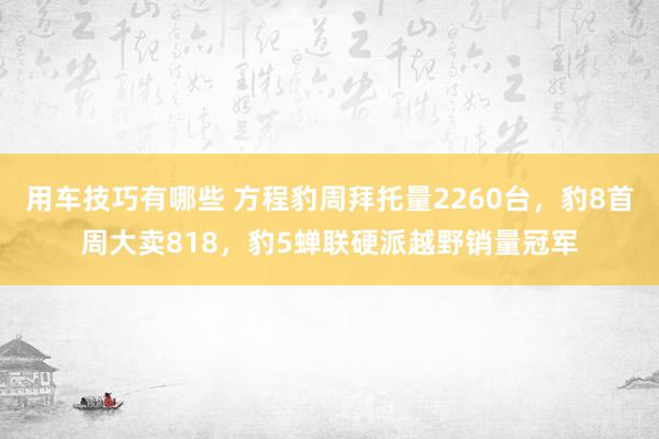 用车技巧有哪些 方程豹周拜托量2260台，豹8首周大卖818，豹5蝉联硬派越野销量冠军