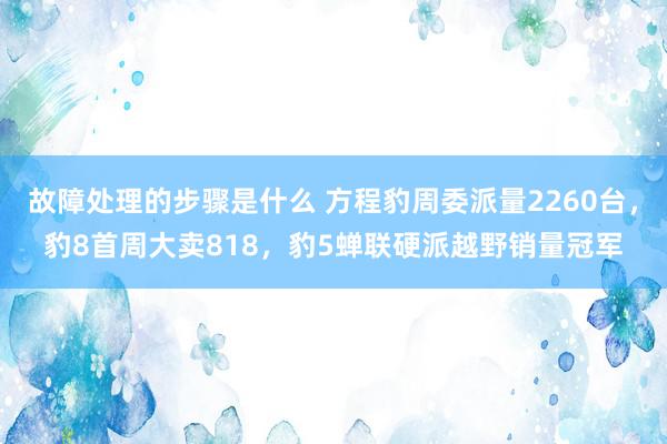 故障处理的步骤是什么 方程豹周委派量2260台，豹8首周大卖818，豹5蝉联硬派越野销量冠军