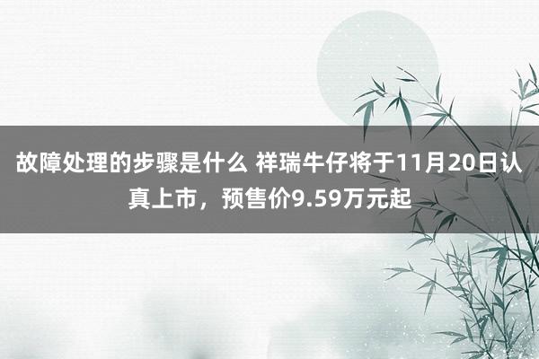 故障处理的步骤是什么 祥瑞牛仔将于11月20日认真上市，预售价9.59万元起