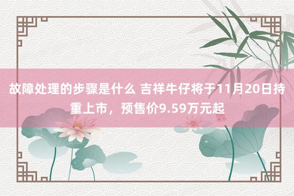 故障处理的步骤是什么 吉祥牛仔将于11月20日持重上市，预售价9.59万元起