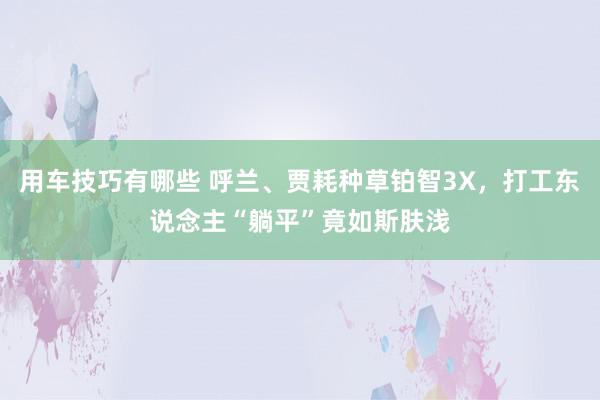 用车技巧有哪些 呼兰、贾耗种草铂智3X，打工东说念主“躺平”竟如斯肤浅